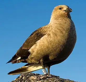 alternativní popis obrázku chybí