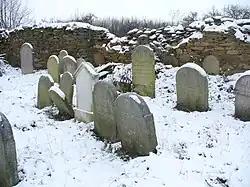 Skupina_náhrobků_židovského_hřbitova.JPG