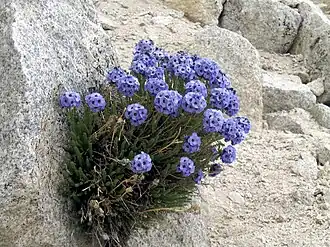 alternativní popis obrázku chybí