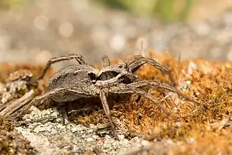 alternativní popis obrázku chybí