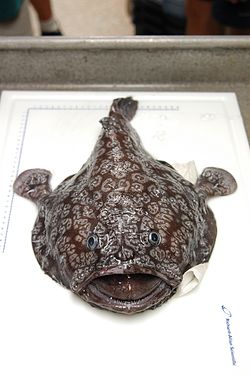 alternativní popis obrázku chybí