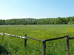 Pohled na západní část rezervace (jaro)