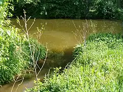 Soutok Slavonického potoka s Thaya