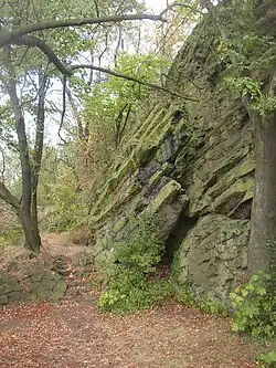 Čedičové sloupce na Slánské hoře