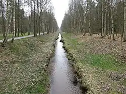 Ve Františkových Lázních