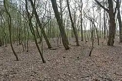 Slavetice tvrz 6343.jpg