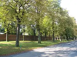 Slavkov u Brna, alej 3.jpg