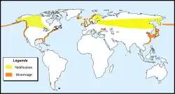 Areál rozšíření: Hnízdiště Zimoviště