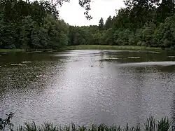 Silniční rybník (Rechenteich)