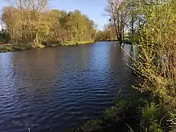 Slepé rameno Odry - severní část