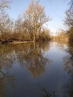 Slepé rameno Odry - severní část