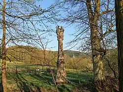 Sloup Nejsvětější Trojice na okraji Hoštejna (Q72739508) 01.jpg