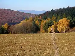 Šarišská vrchovina