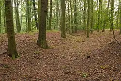 Slovanské hradiště Na valech, Horní Přím 01.jpg