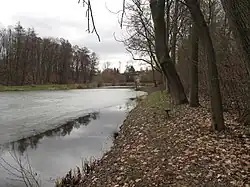 Velký rybník z jižního břehu (leden 2022)