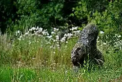 Smírčí kříž (Plana) 2.jpg