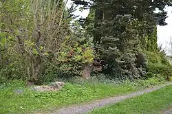 Smírčí kříž v Malé Černoci (Q37817623) 01.jpg