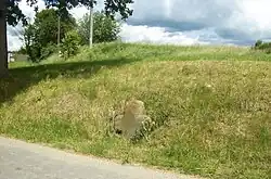 Smírčí kříž západně od Bernartic (Q37005004).jpg