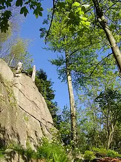 Skály v lokalitě Štolpichy