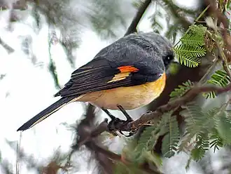 popis obrázku chybí