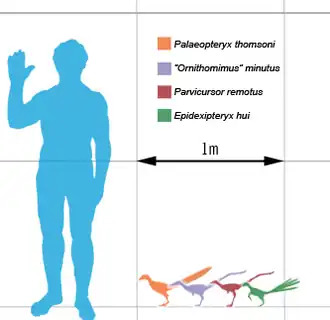 alternativní popis obrázku chybí