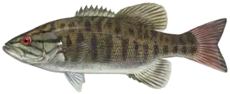 alternativní popis obrázku chybí