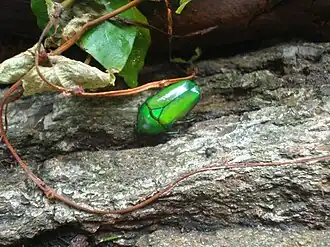 alternativní popis obrázku chybí