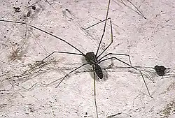 alternativní popis obrázku chybí