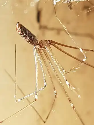 alternativní popis obrázku chybí