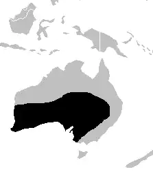 Areál rozšíření