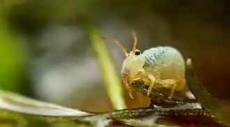 alternativní popis obrázku chybí