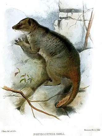 alternativní popis obrázku chybí