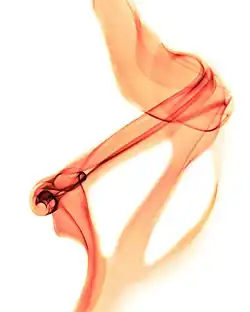 Neurčitě působí také kouřové obrazce