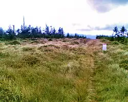 Plochý vrchol Smreku