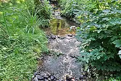 Před soutokem se Svatavou