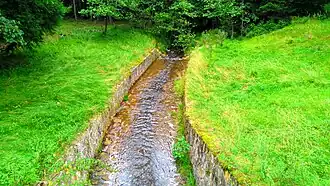 Sněžnický potok z hráze bezejmenného rybníka