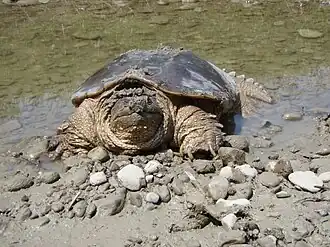 alternativní popis obrázku chybí