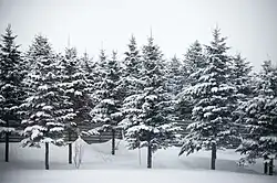 alternativní popis obrázku chybí