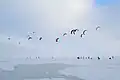 Snowkiting (Grand Prix) v Nidě