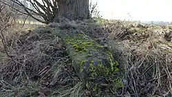 Socha svatého Antonína Paduánského u silnice mezi Mirošovem a Příkosicemi (Q38046300) 01.jpg