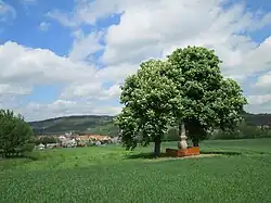 Socha svatého Floriána nad Radnicemi (Q38090510).jpg