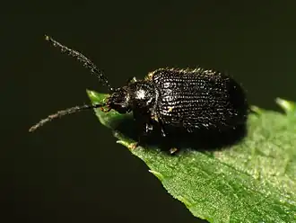 popis obrázku chybí