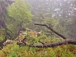 Skalní ostroh na vrcholu