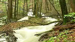 Vývěr řeky (Sokolia vyvieračka) z masivu Silické planiny v závěru Sokolí doliny. Na záběru je extrémní povodňový stav (tisíciletá voda) na jaře 2010