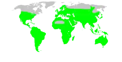 Areál rozšíření