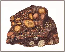 Ilustrace od Jamese Sowerbyho z Maweovy knihy Travels in the Interior of Brazil