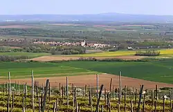 Pohled na Borszörcsök