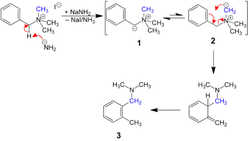 Mechanismus Sommeletova-Hauserova přesmyku