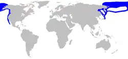 Areál rozšíření