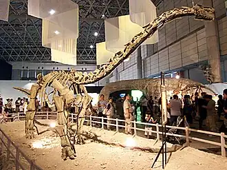 alternativní popis obrázku chybí